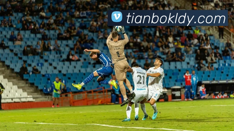 天博体育平台生态图