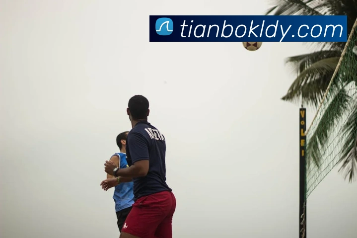 App Interface Preview